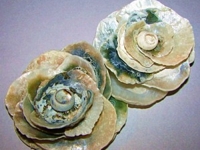 ThriftyFun Brianna Southworth Seashell Rose